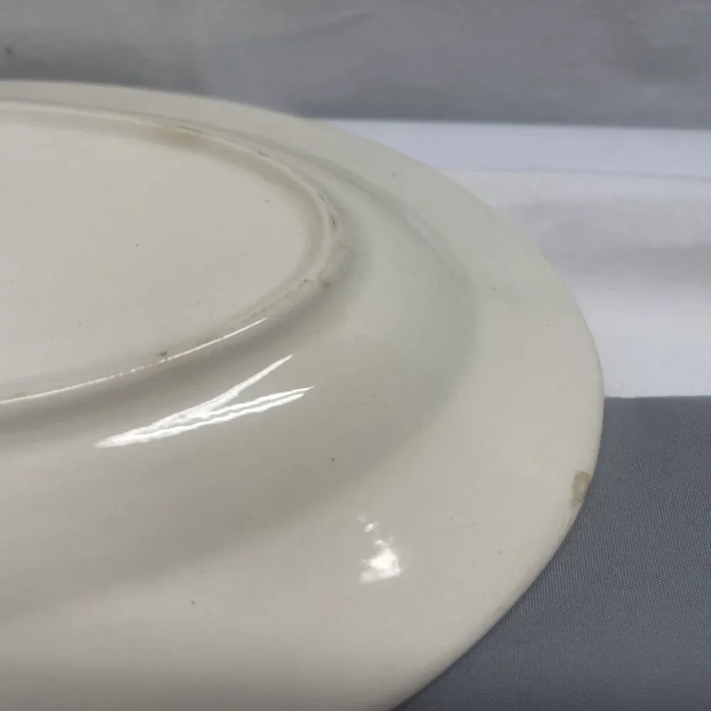 Large Vintage Oval Hand Painted Ceramic Porcelian Platter Dish Czech. Dinnerware